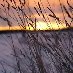 Hill-view In Near And Hiking *