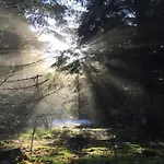 Hill-view In Near And Hiking Feriehus