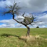 Feriehus Hill-view In Near And Hiking