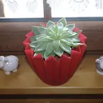 Hill-view In Near And Hiking Feriehus *