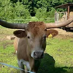 Hill-view In Near And Hiking Feriehus *