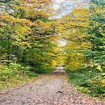 Feriehus Hill-view In Near And Hiking Dankerode (Saxony-Anhalt)