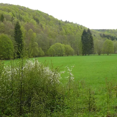 Dom wakacyjny Hill View In Near And Hiking Dankerode (Saxony-Anhalt)