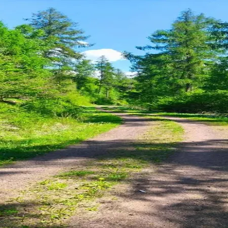 Semesterbostad Hill-view In Near And Hiking