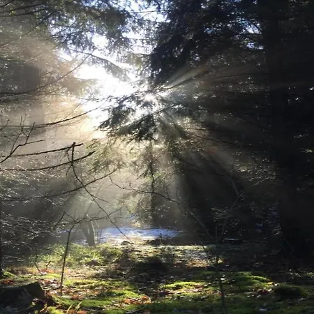 Дом отдыха Hill-view In Near And Hiking Dankerode (Saxony-Anhalt)