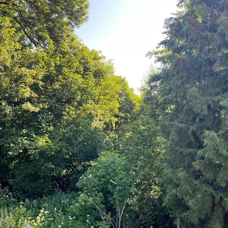 Semesterbostad Hill-view In Near And Hiking *