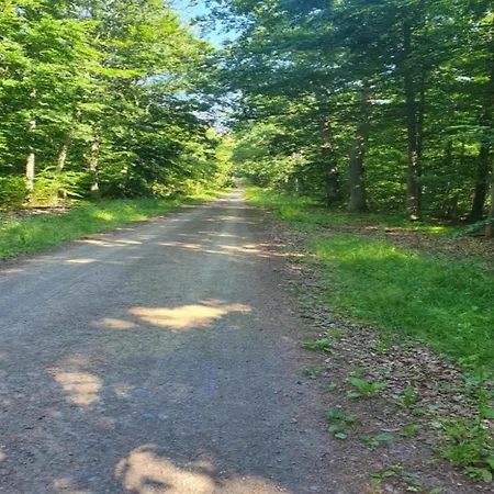 Hill View In Near And Hiking בית נופש Dankerode (Saxony-Anhalt)