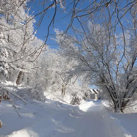 Hill-view In Near And Hiking Дом отдыха