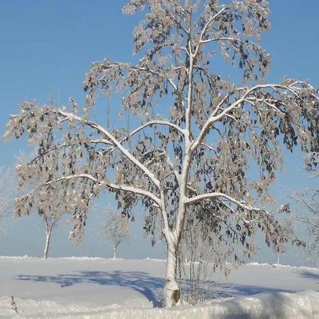 Hill-view In Near And Hiking Дом отдыха *