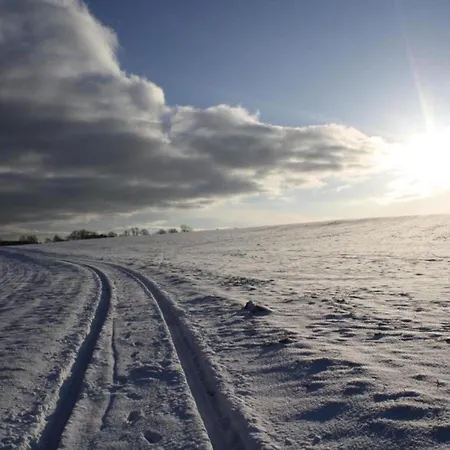Hill-view In Near And Hiking Dankerode (Saxony-Anhalt)