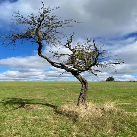 Дом отдыха Hill-view In Near And Hiking