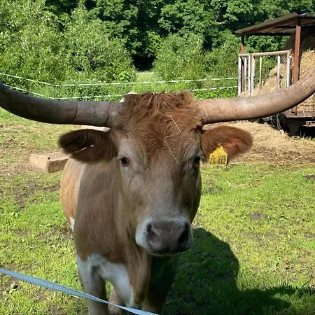 Hill-view In Near And Hiking Дом отдыха *