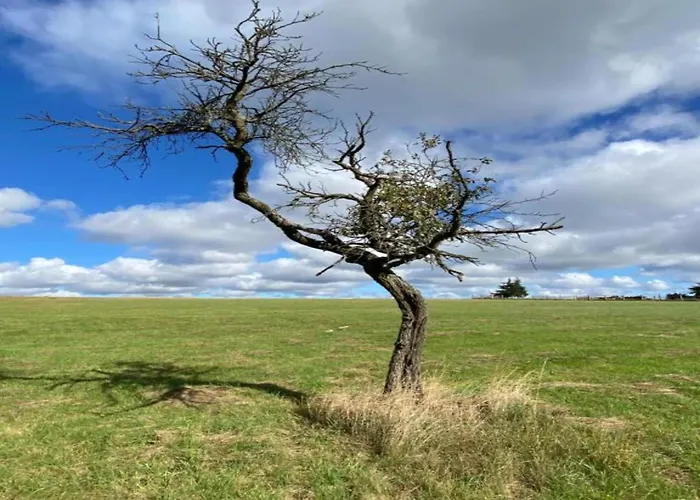 Hill-view In Near And Hiking