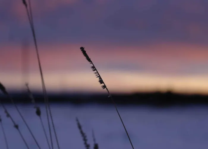 Hill-view In Near And Hiking Dankerode (Saxony-Anhalt)
