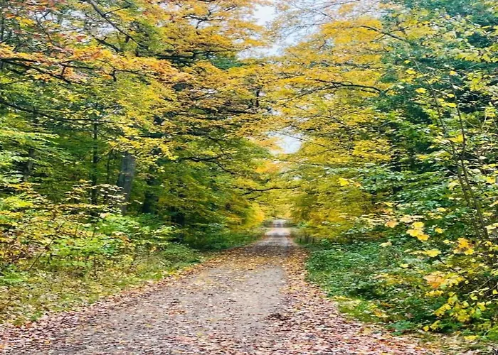 Hill-view In Near And Hiking 펜션