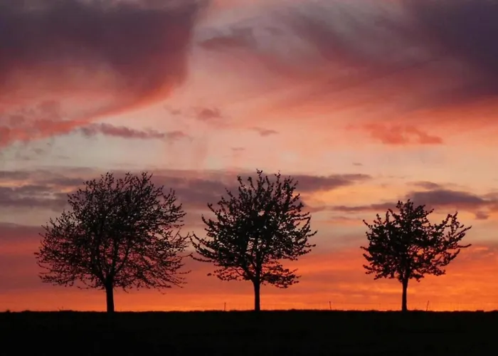 Hébergement de vacances Hill-view In Near And Hiking