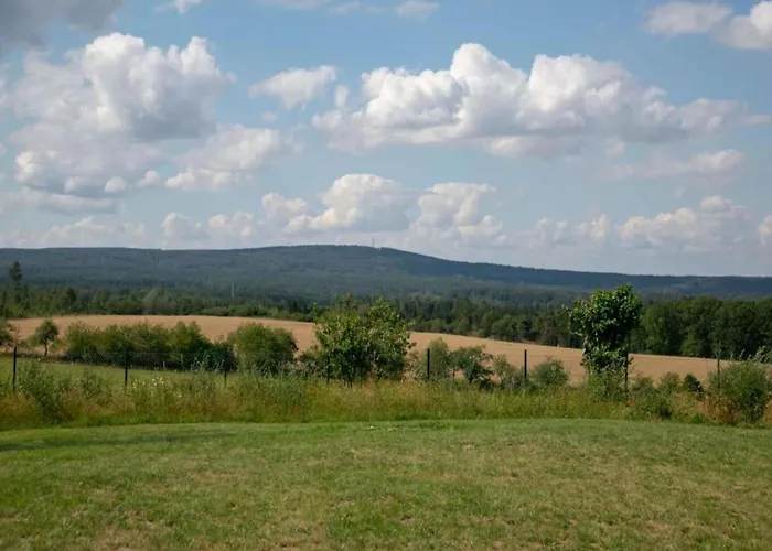Hill-view In Near And Hiking Dankerode (Saxony-Anhalt)