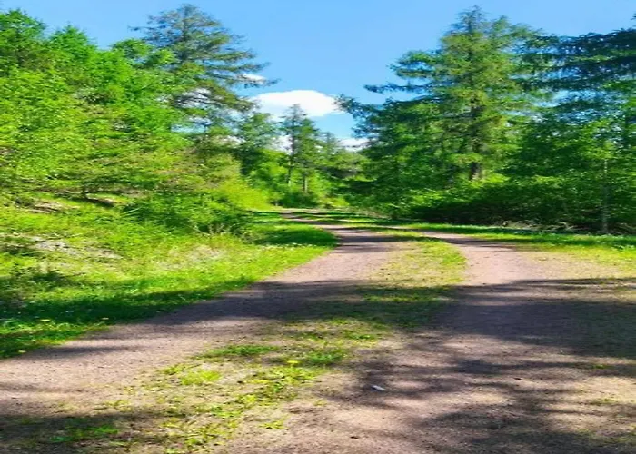 펜션 Hill-view In Near And Hiking