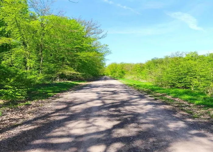 Hébergement de vacances Hill-view In Near And Hiking *