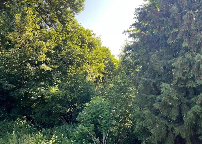 펜션 Hill-view In Near And Hiking *