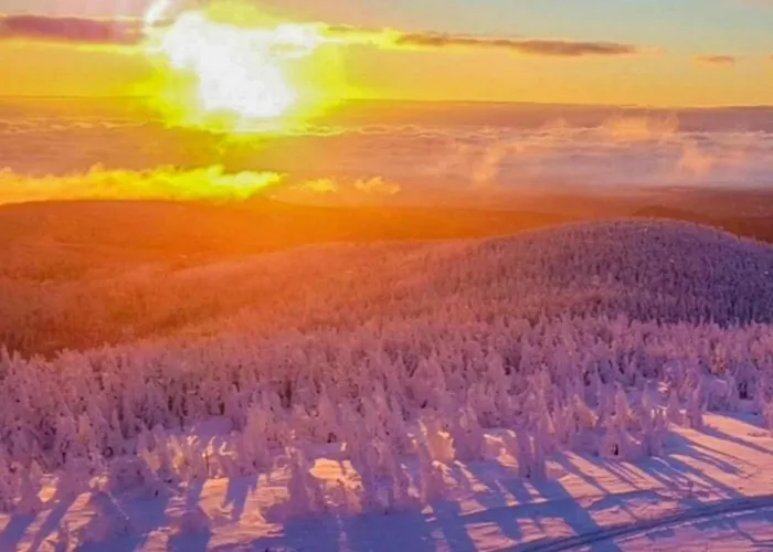 Hill-view In Near And Hiking 펜션
