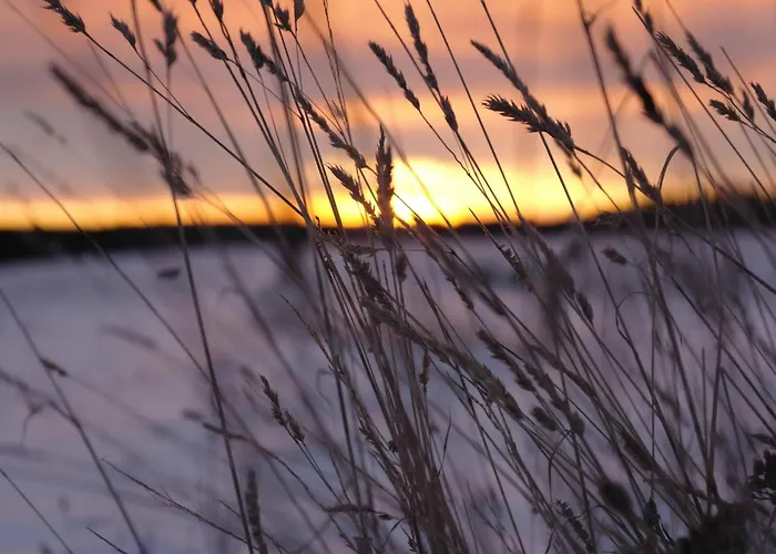 Hill-view In Near And Hiking *