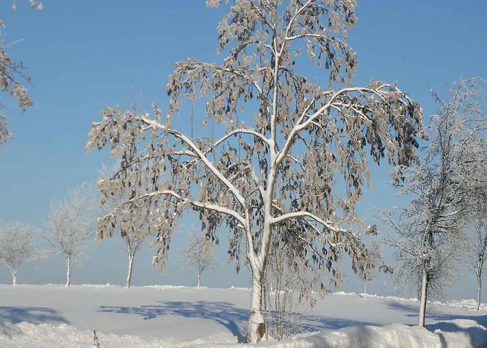 Hill-view In Near And Hiking Dankerode (Saxony-Anhalt)