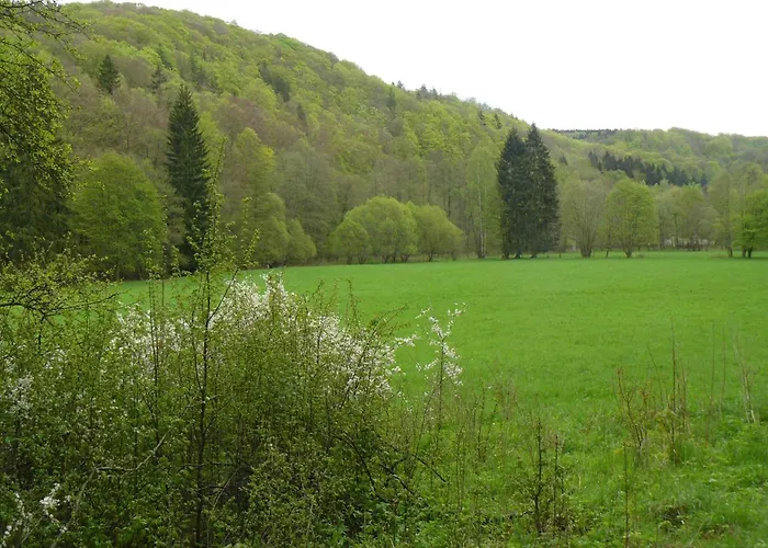 펜션 Hill-view In Near And Hiking Dankerode (Saxony-Anhalt)