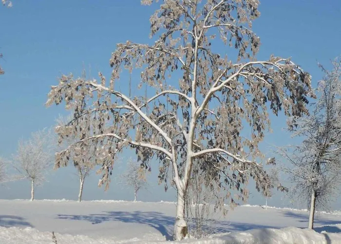 Hill-view In Near And Hiking 펜션 *