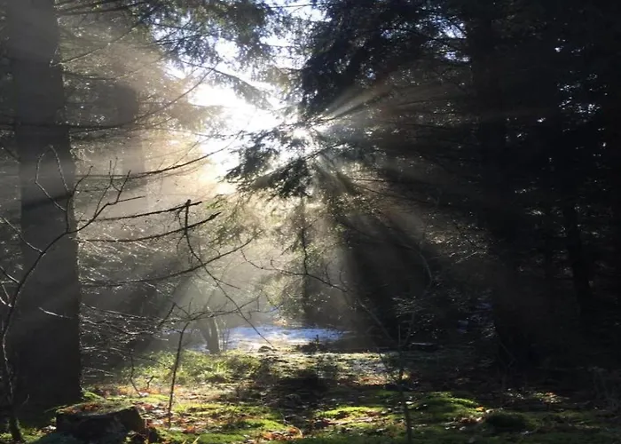Hill-view In Near And Hiking Hébergement de vacances