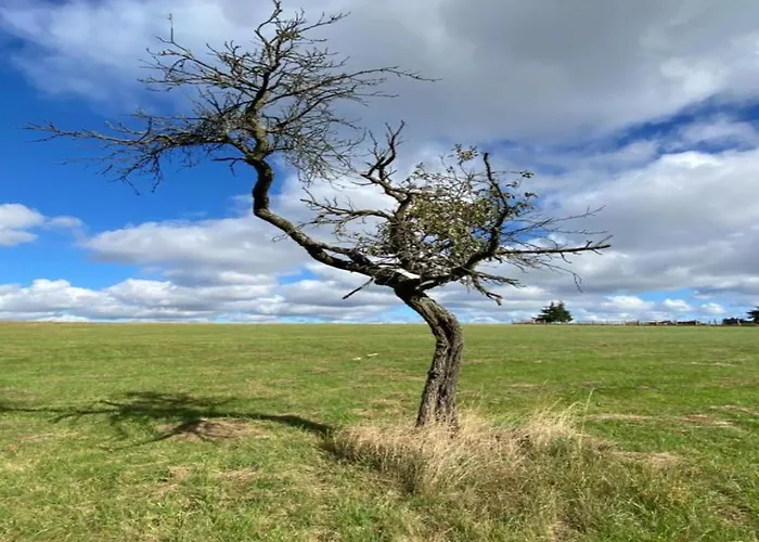펜션 Hill-view In Near And Hiking