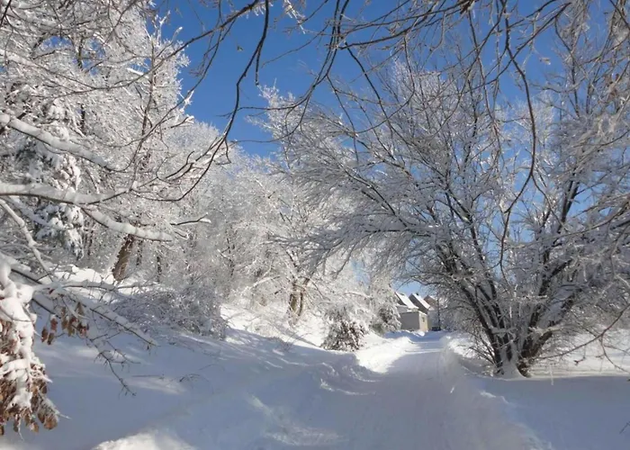 Hébergement de vacances Hill-view In Near And Hiking *