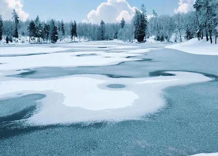 Hill-view In Near And Hiking 펜션 Dankerode (Saxony-Anhalt)