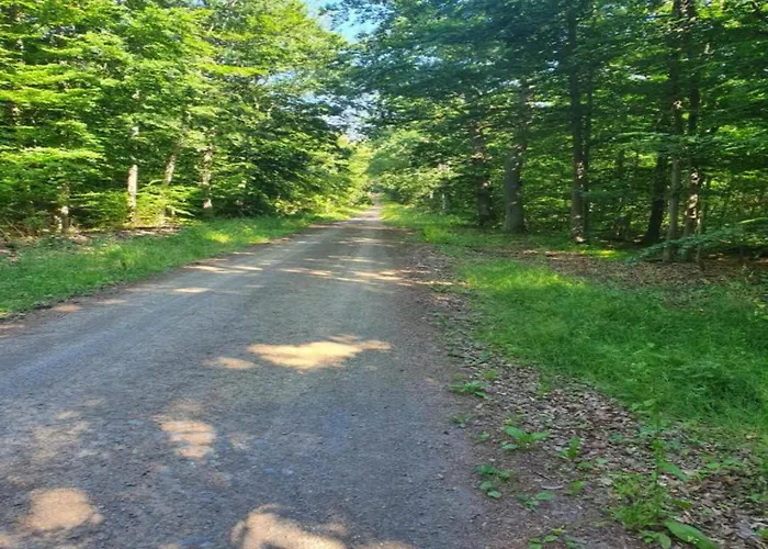 Hill-view In Near And Hiking