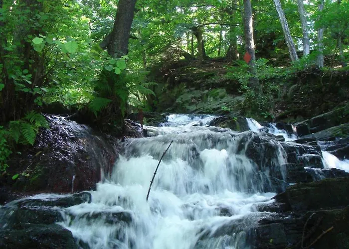 Hill-view In Near And Hiking Hébergement de vacances
