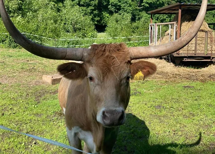 Hill-view In Near And Hiking 펜션 *