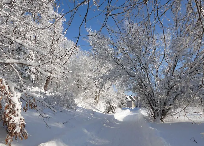 Hill-view In Near And Hiking 펜션 *